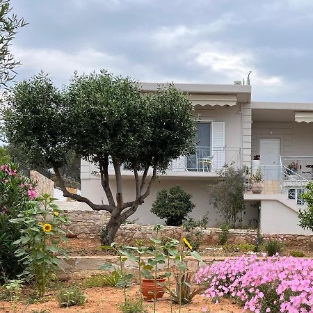 Villa Maxima Lavrio Thorikon Экстерьер фото