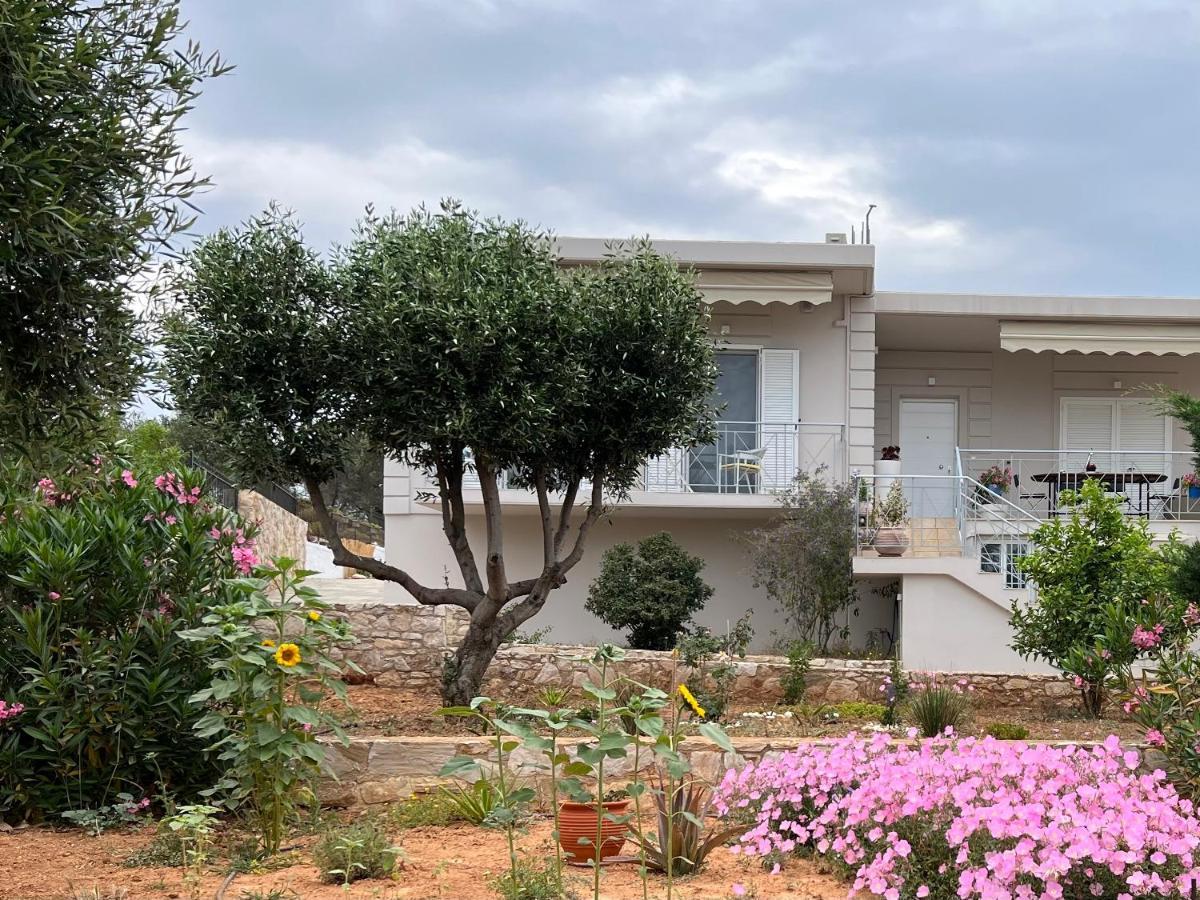 Villa Maxima Lavrio Thorikon Экстерьер фото